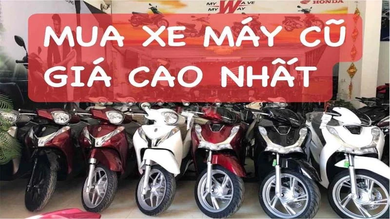 Chúng tôi là website mua bán xe máy cũ sôi động nhất tại Việt Nam